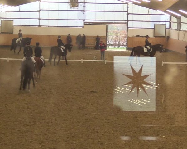 Reitturnier Datteln 2022