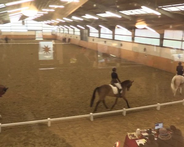 Reitturnier Datteln 2022