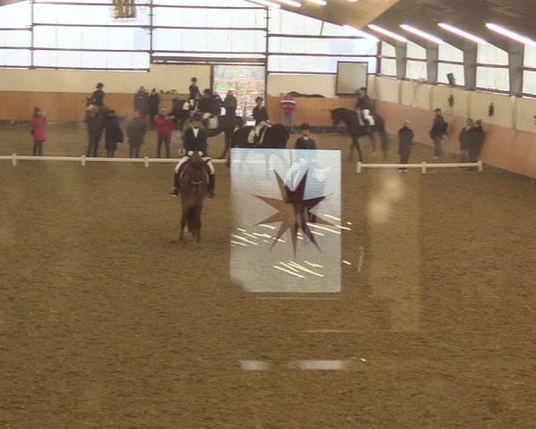 Reitturnier Datteln 2022