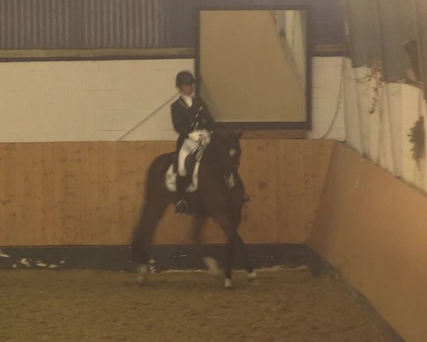 Reitturnier Datteln 2022