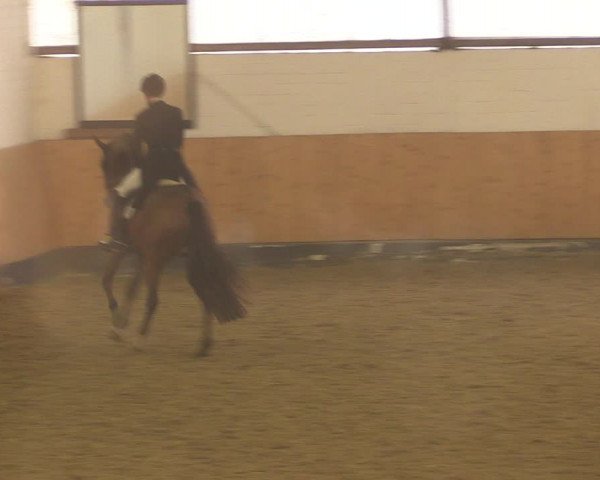 Reitturnier Datteln 2022