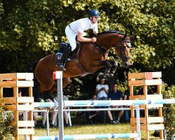 Springpferd Kanna Ravella (Westfale, 2016, von Kannan)