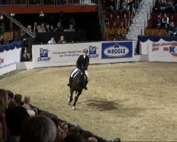 broodmare Franzi (Westphalian, 2002, from Florestan I)