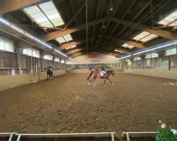Video of Larry 225