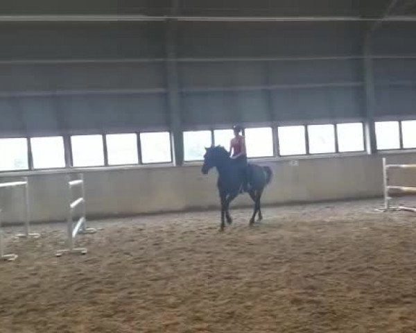 Video of Qualify