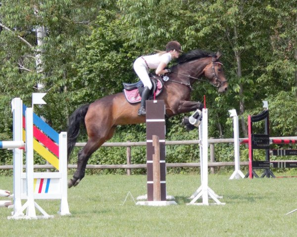 broodmare Iskia 14 (Hanoverian, 2007, from Iberio)