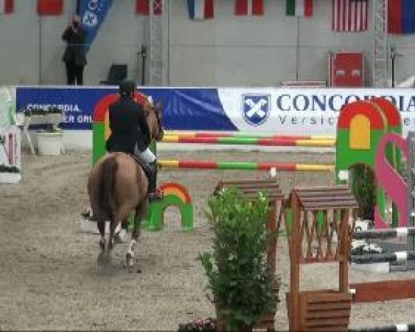 horse Lagranno-Star (Hanoverian, 2003, from Litas-Star)