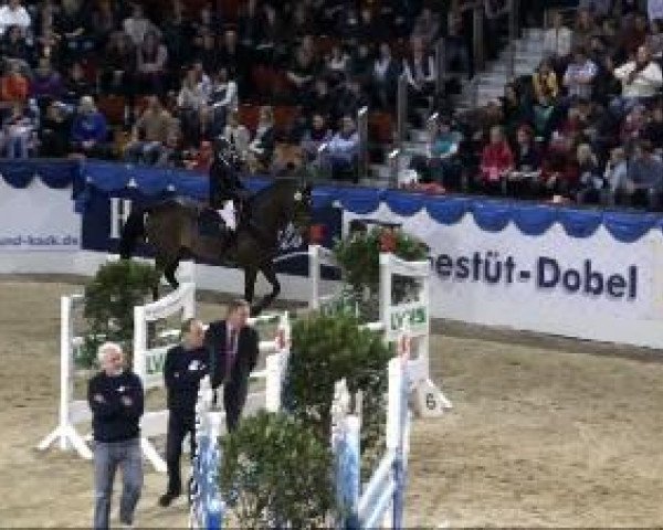 dressage horse Ramina O (Westphalian, 1999, from Rockwell)