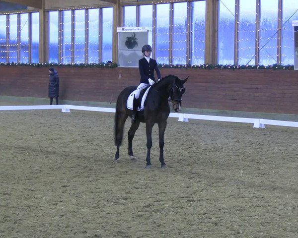 Reitturnier Coesfeld/Lette 2022