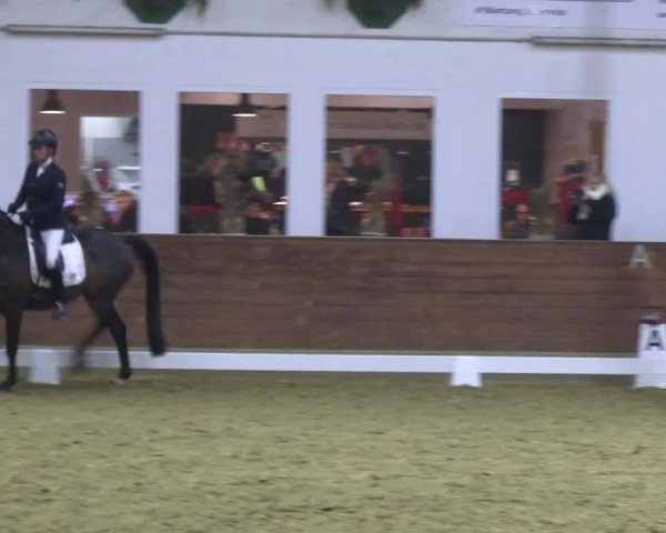 Reitturnier Coesfeld/Lette 2022