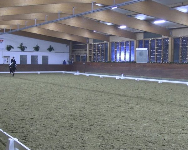 Reitturnier Coesfeld/Lette 2022