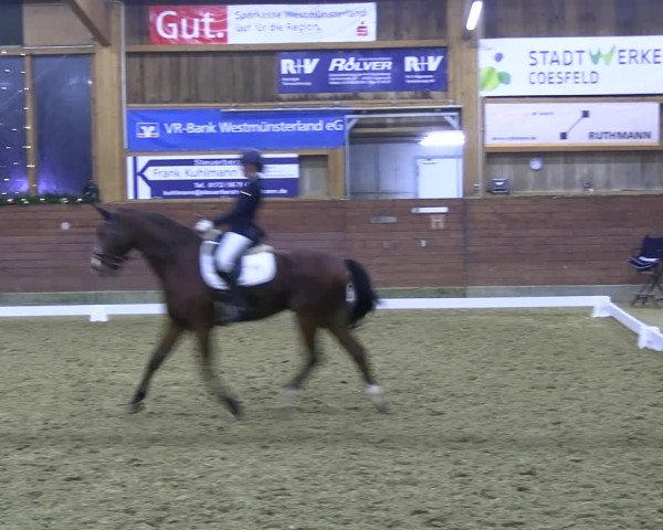 Reitturnier Coesfeld/Lette 2022