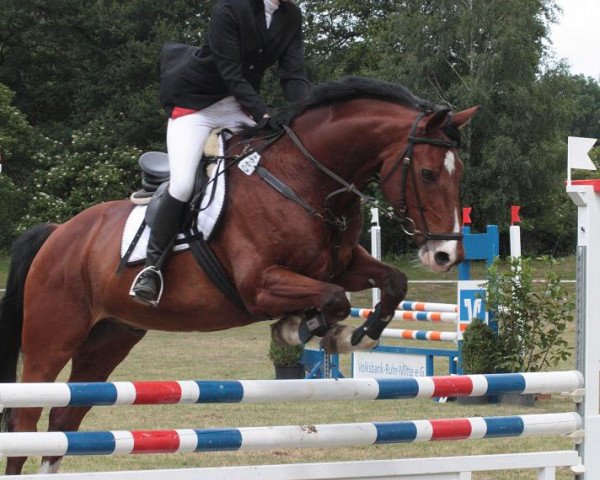 jumper Fullfyllan (Oldenburg, 1994, from Feinbrand)
