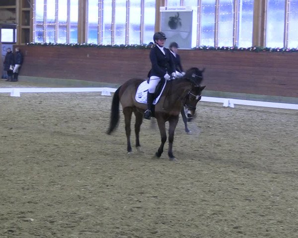 Reitturnier Coesfeld/Lette 2022