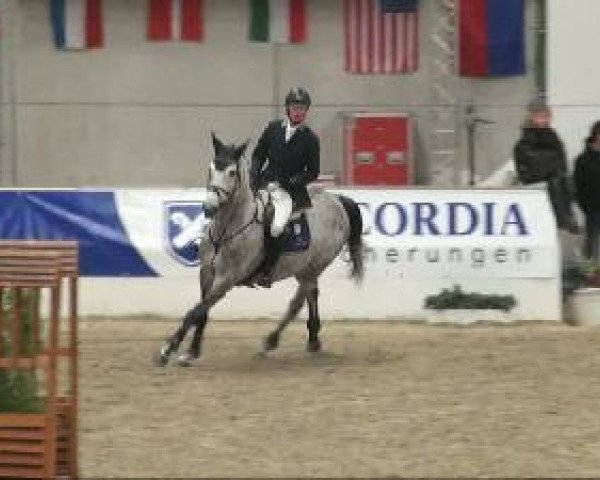 broodmare Baloudana (Oldenburg show jumper, 2003, from Baloubet du Rouet)