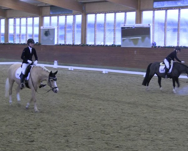 Reitturnier Coesfeld/Lette 2022