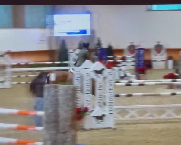 Video of Kasalla
