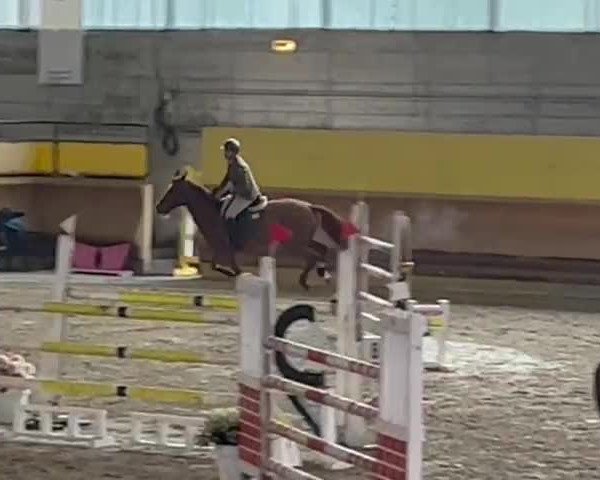 Video of Kasalla