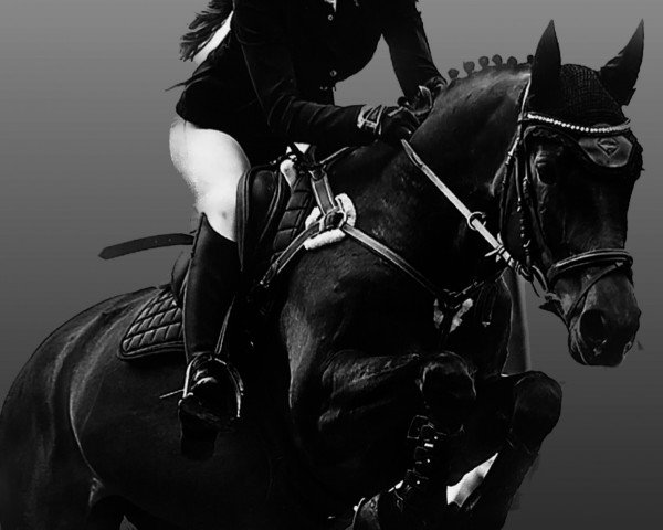 Alina Maack