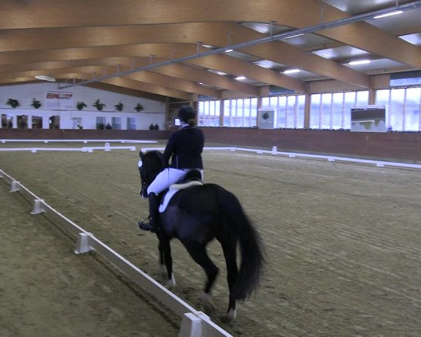 Reitturnier Coesfeld/Lette 2022