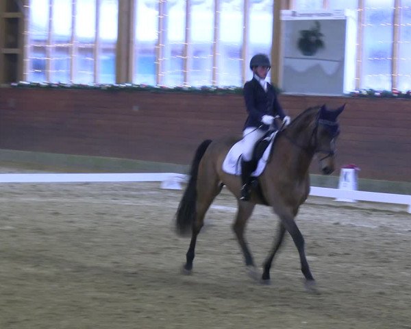 Reitturnier Coesfeld/Lette 2022