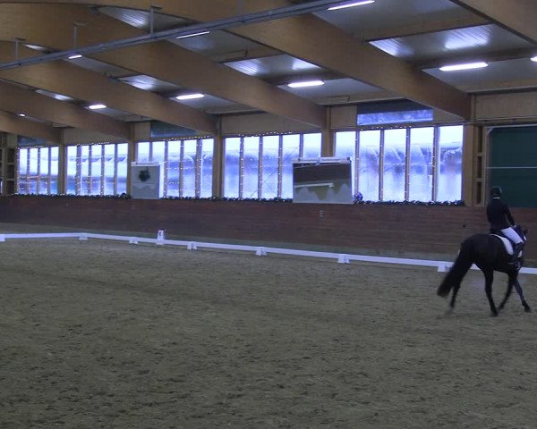 Reitturnier Coesfeld/Lette 2022