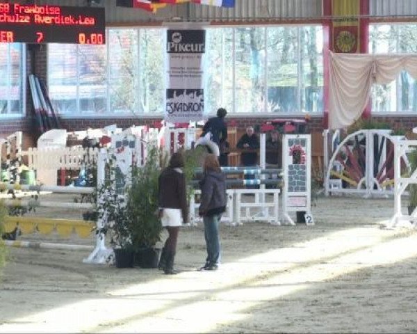jumper Framboise 2 (Westphalian, 2003, from Fiano)