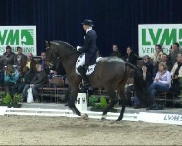 dressage horse Dante (Oldenburg, 2002, from Diamond Hit)