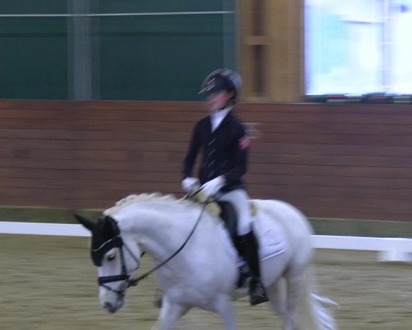 Reitturnier Coesfeld/Lette 2022