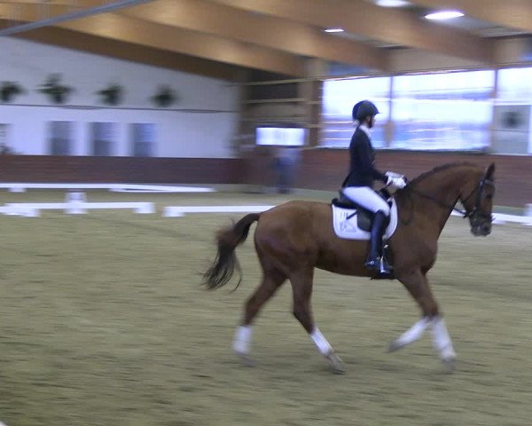 Reitturnier Coesfeld/Lette 2022
