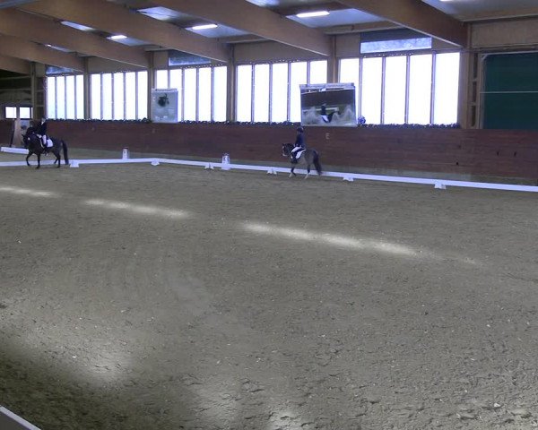 Reitturnier Coesfeld/Lette 2022