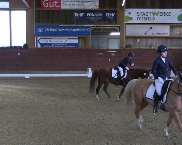 Reitturnier Coesfeld/Lette 2022