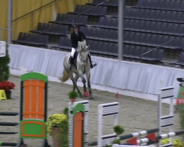 Reitturnier Verden 2022