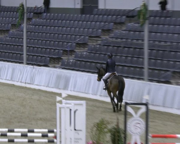 Reitturnier Verden 2022