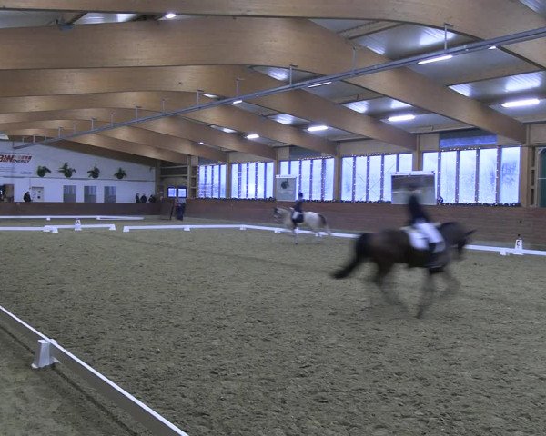 Reitturnier Coesfeld/Lette 2022