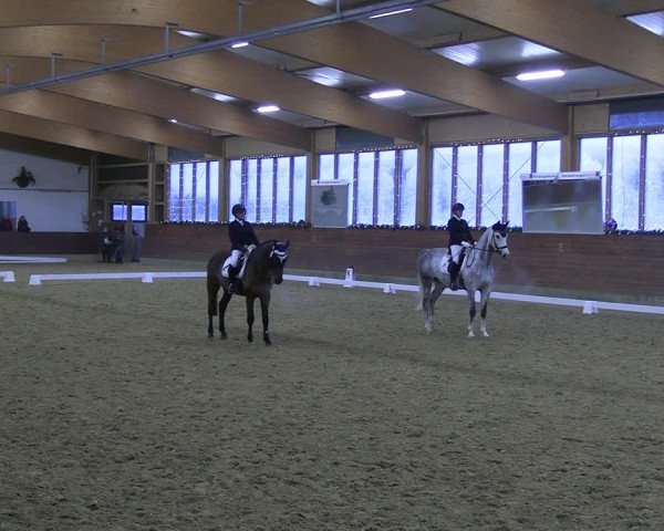Reitturnier Coesfeld/Lette 2022