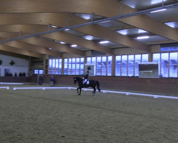 Reitturnier Coesfeld/Lette 2022