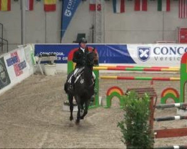 broodmare Ronja (Hanoverian, 1998, from Ramiro's Boy)