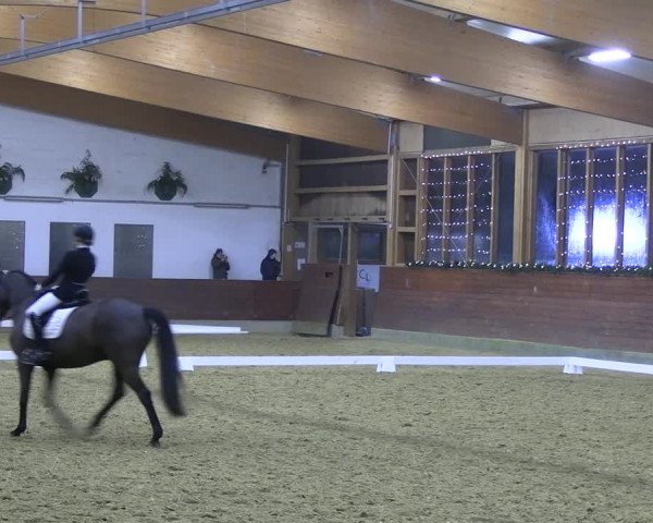 Reitturnier Coesfeld/Lette 2022