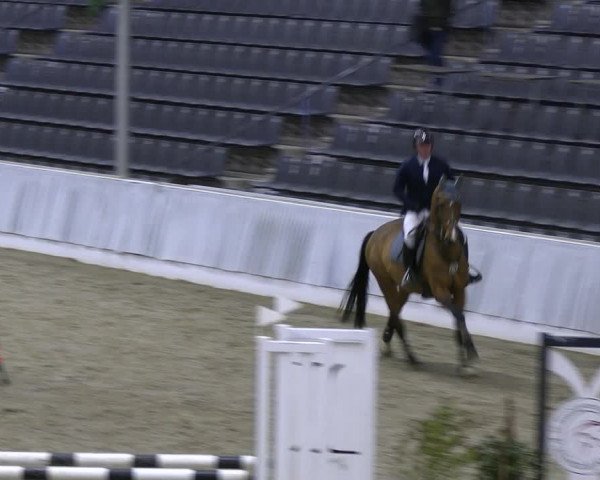 Reitturnier Verden 2022