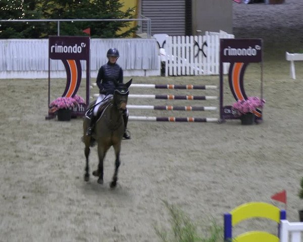 Reitturnier Verden 2022