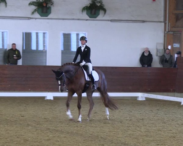 Reitturnier Coesfeld/Lette 2022