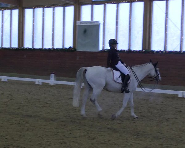 Reitturnier Coesfeld/Lette 2022