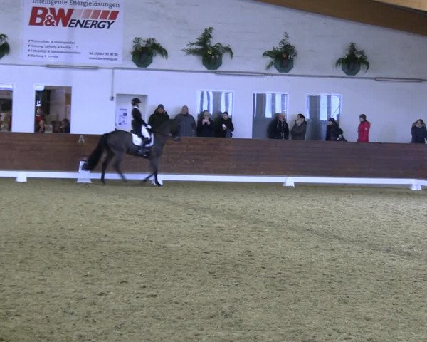 Reitturnier Coesfeld/Lette 2022