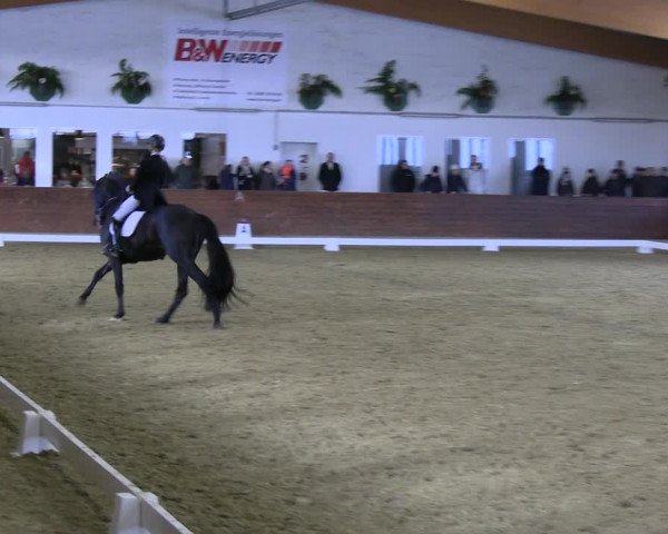 Reitturnier Coesfeld/Lette 2022
