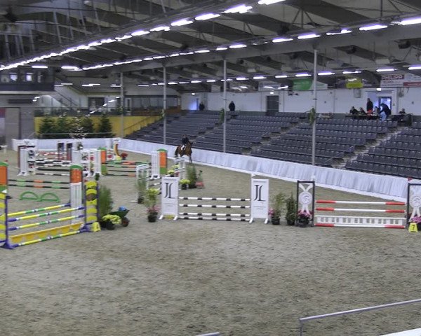 Reitturnier Verden 2022
