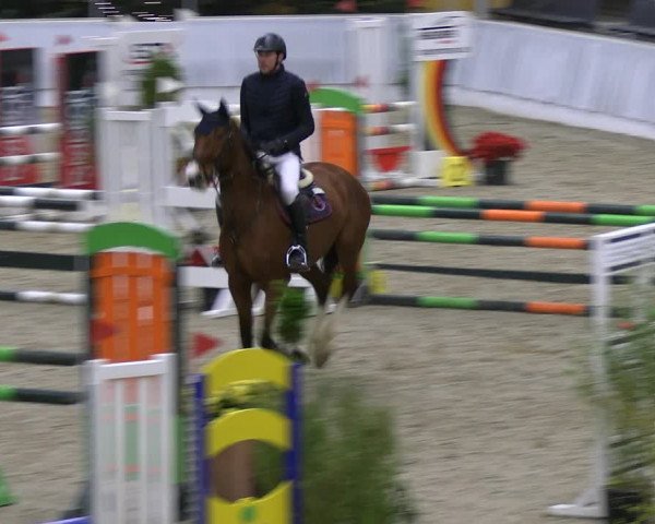 Reitturnier Verden 2022