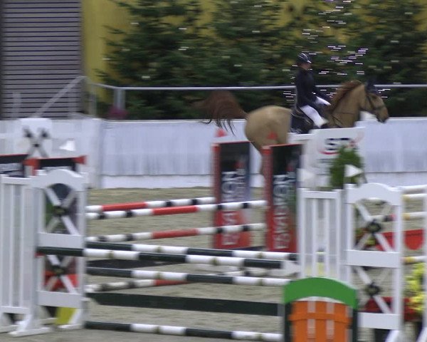 Reitturnier Verden 2022