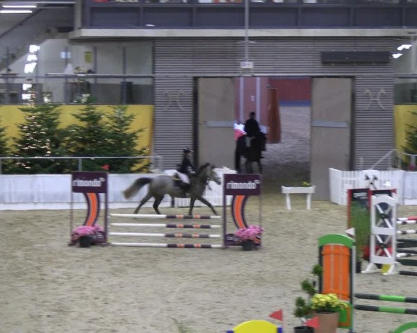 Reitturnier Verden 2022