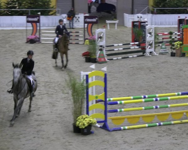 Reitturnier Verden 2022